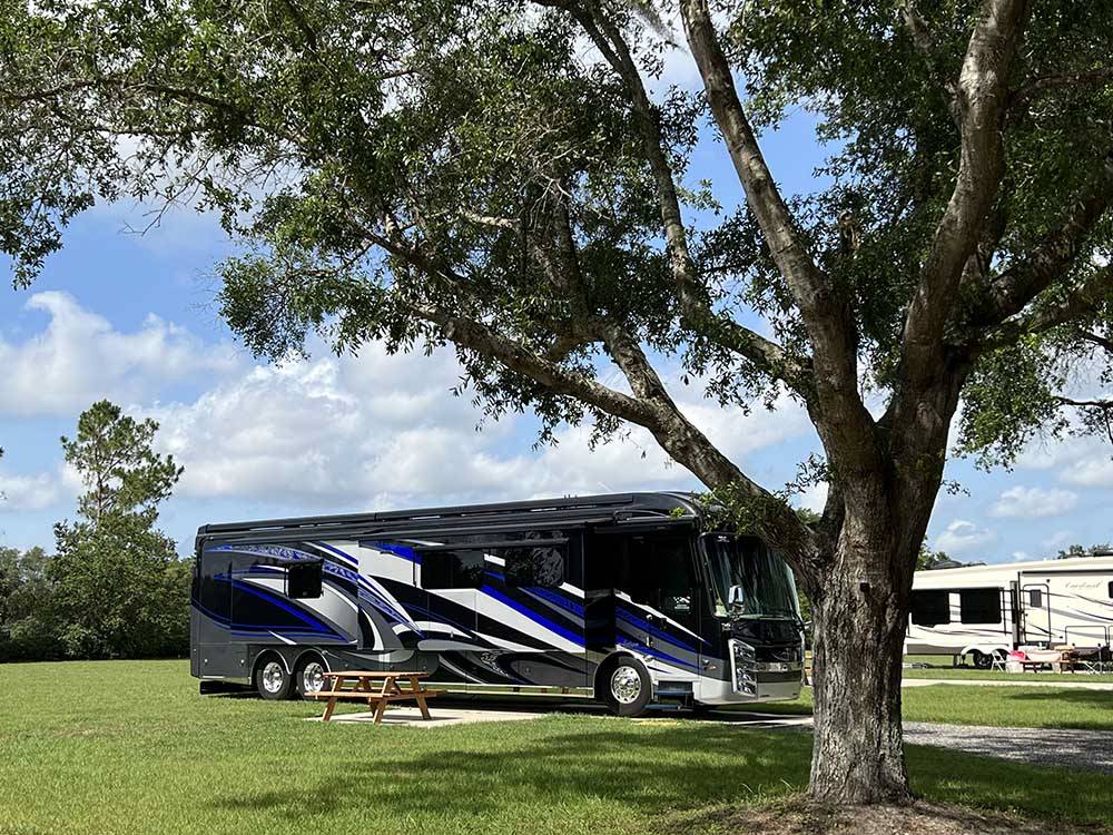 Trees and green fields with RVs parked on-site at GRAND OAKS RESORT