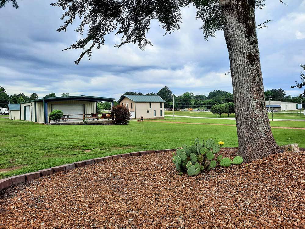A grassy area with a tree at GREEN ACRES RV PARK