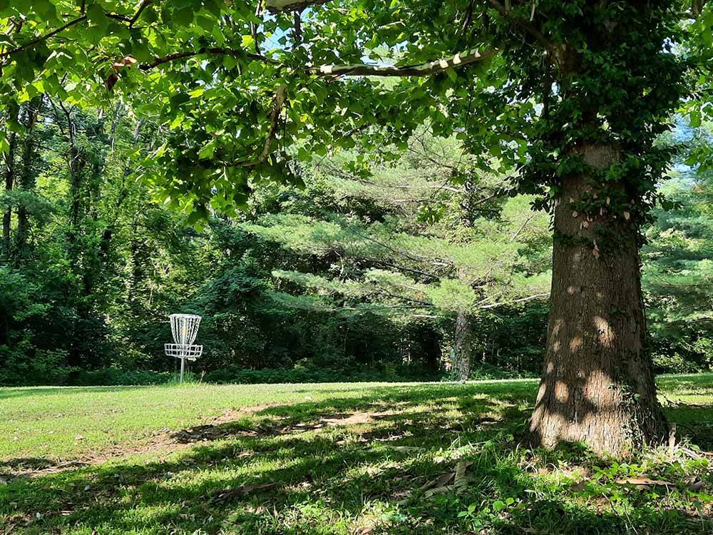 The grassy disc golf field at CERALAND PARK & CAMPGROUND