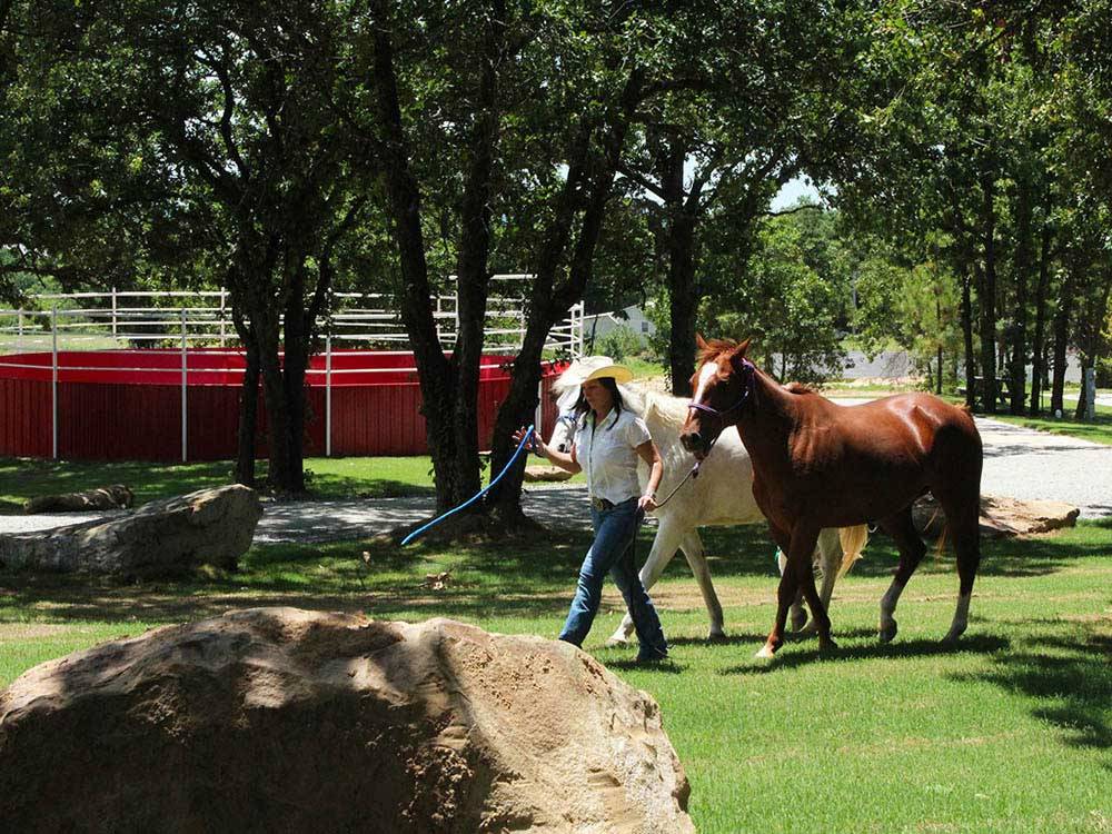 Woman walking two horses at LITTLE TURTLE RV & STORAGE