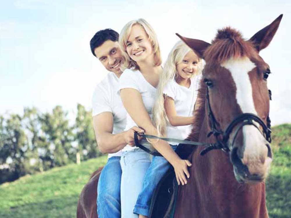 Three people riding a horse at BRIGHTON RV RESORT