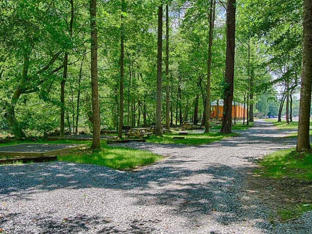 A row of camping areas under trees at PIGEON RIVER CAMPGROUND