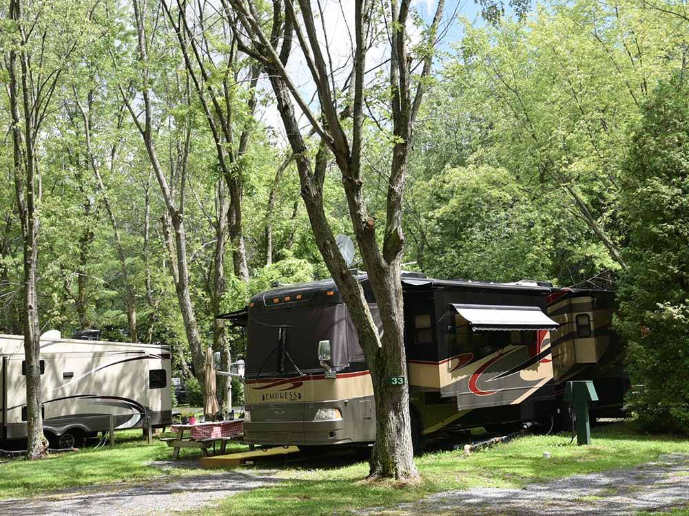 A motorhome in a back in paved RV site at MAPLEWOOD ACRES RV PARK