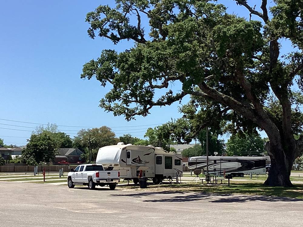 Fifth-wheel camped under tall tree at BOOMTOWN CASINO RV PARK