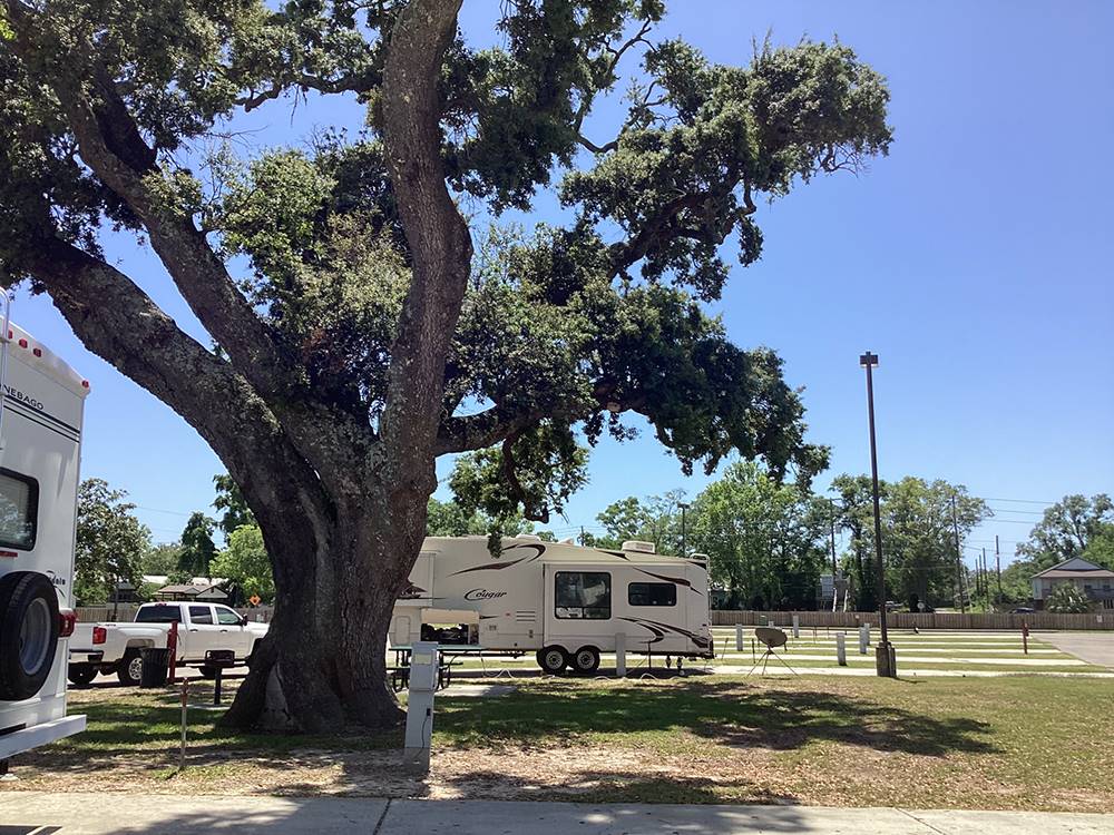 Tall oak casts shade over RV at BOOMTOWN CASINO RV PARK