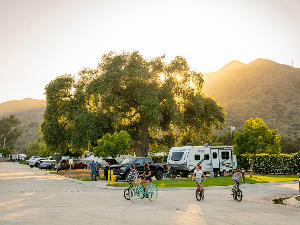 Landscaping at PALA CASINO RV RESORT