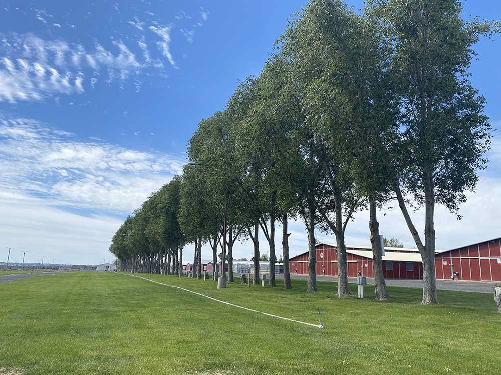 Row of trees next to the rustic buildings at GRANT COUNTY FAIRGROUNDS & RV PARK