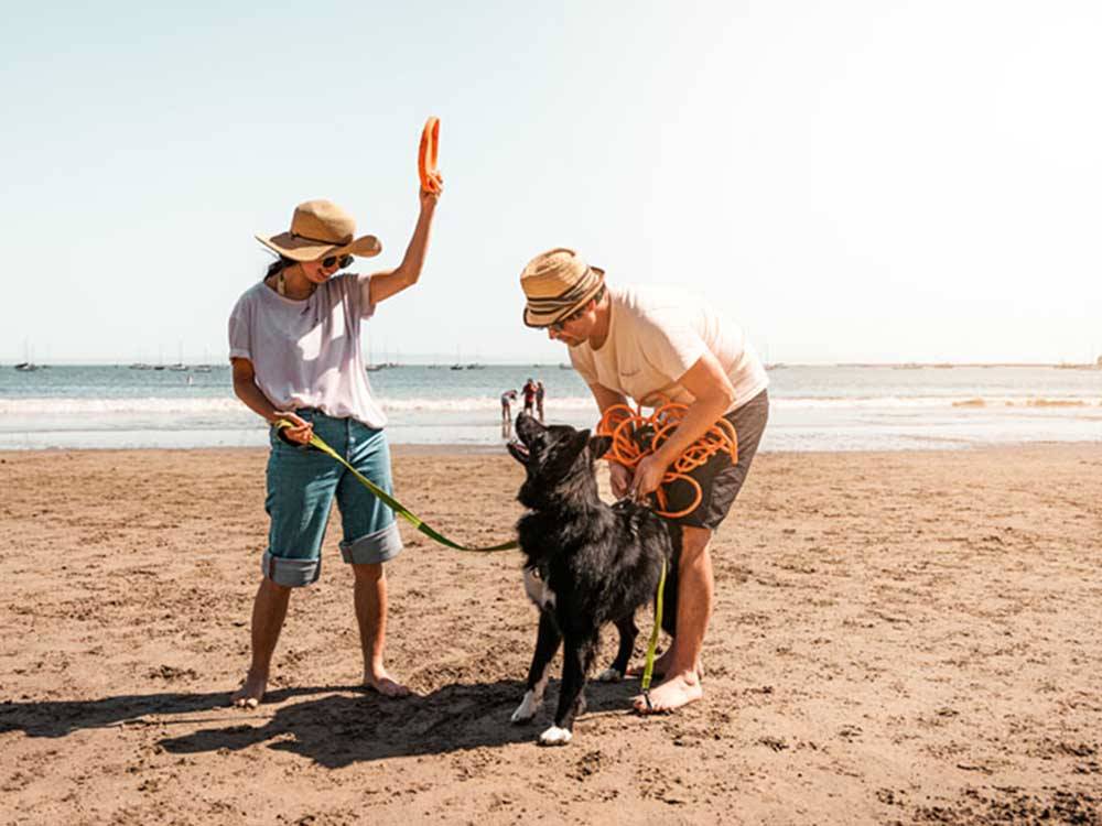 A couple playing with their dog on the beach at VISIT SLO CAL - SAN LUIS OBISPO COUNTY