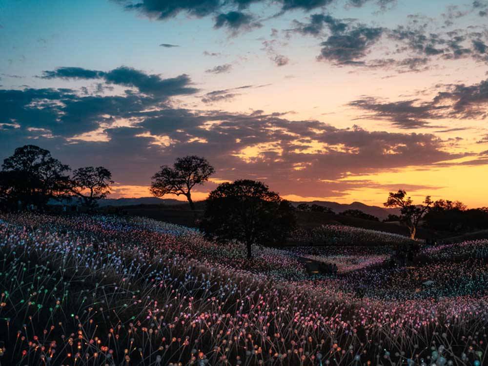 California's glowing "Field of Light" at VISIT SLO CAL - SAN LUIS OBISPO COUNTY
