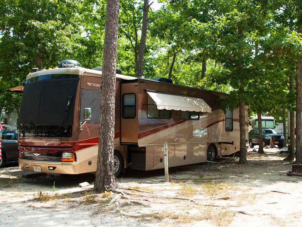 Brown and red motorhome in trees at THOUSAND TRAILS LAKE & SHORE