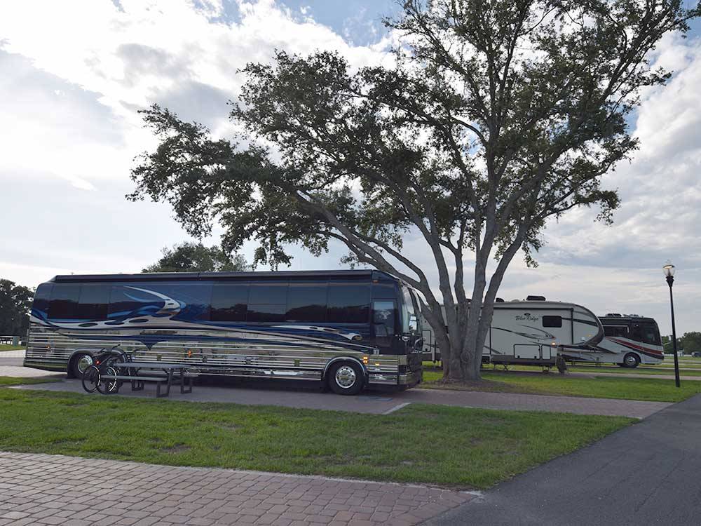 RVs parked at camping sites at SUNKISSED VILLAGE RV RESORT