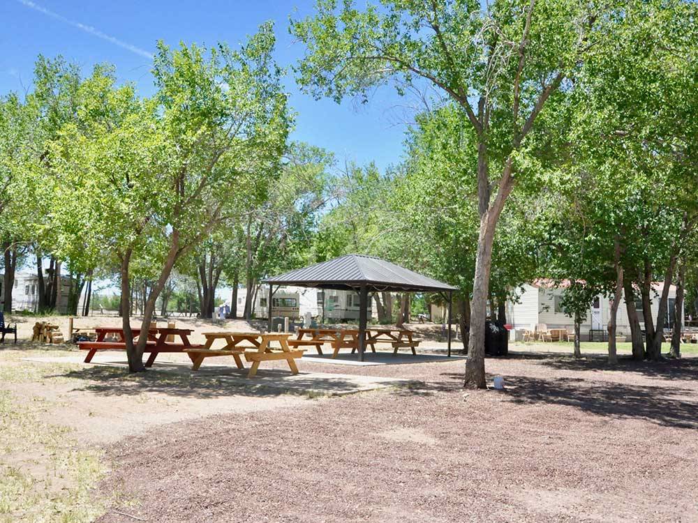 Picnic area with wooden tables and canopy at ST JOHNS RV RESORT