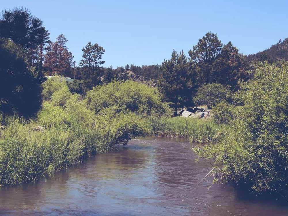River flowing with trees surrounding at FIREHOUSE CAMPGROUND