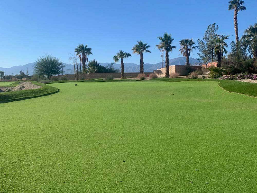 The golf course with palm trees at COACHELLA LAKES RV RESORT