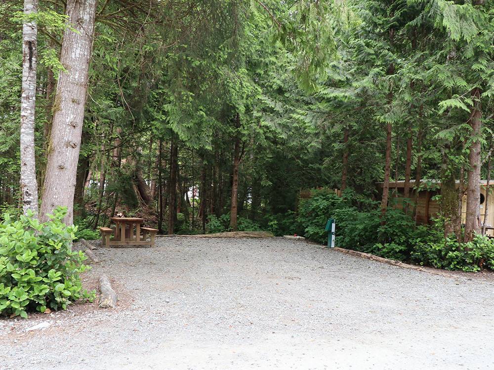 An empty gravel site at SURF GROVE CAMPGROUND