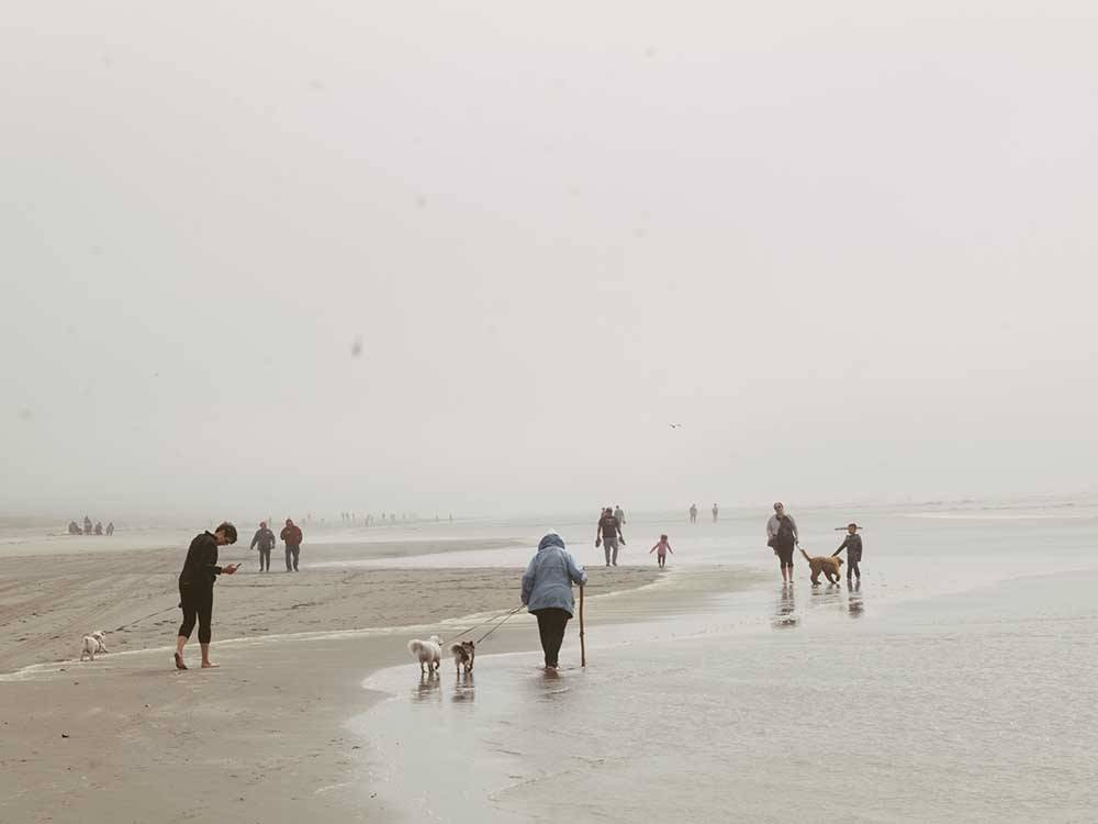 People walking on a foggy beach nearby at WALLICUT RIVER RV RESORT