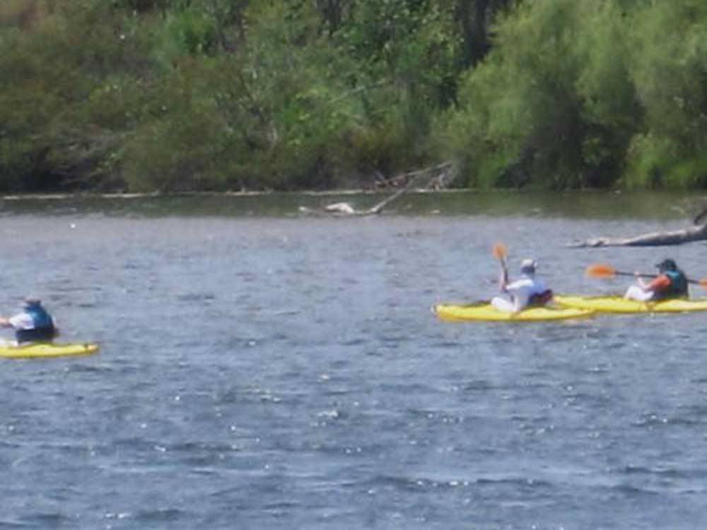 People kayaking on the river at RIVER REFLECTIONS RV PARK & CAMPGROUND
