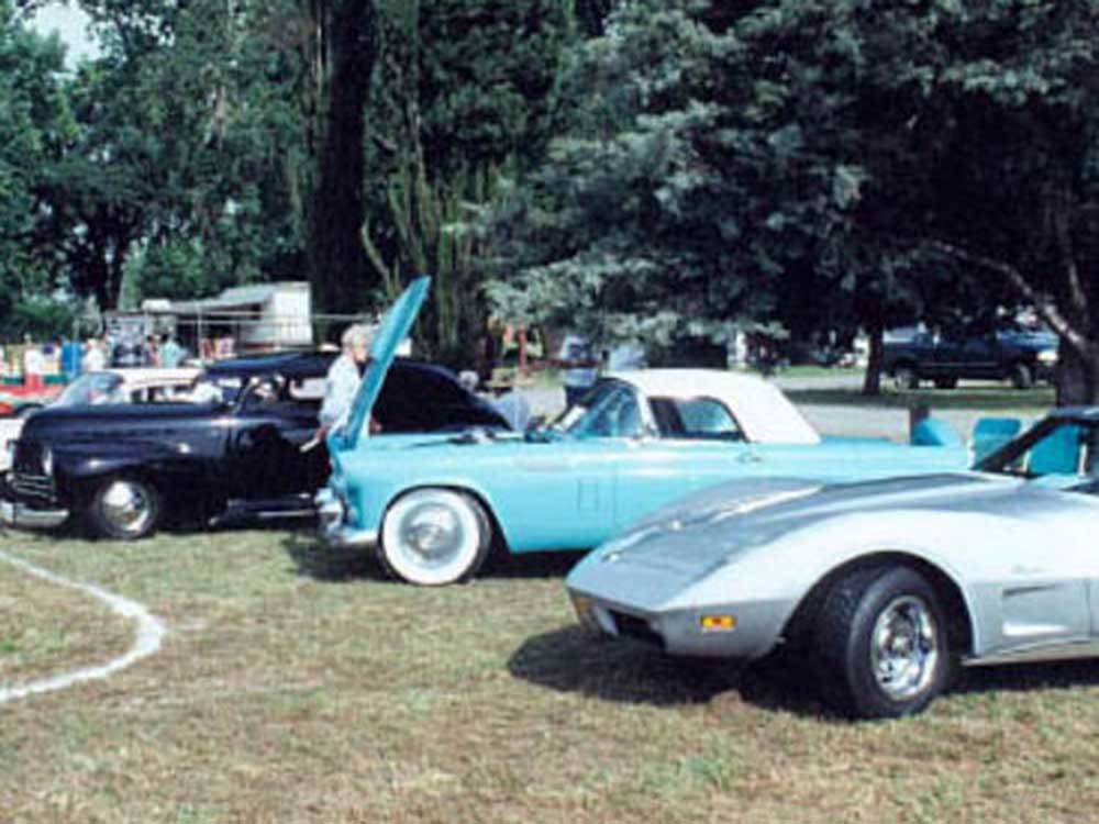 A couple of Corvettes at a classic car show at RIVER REFLECTIONS RV PARK & CAMPGROUND