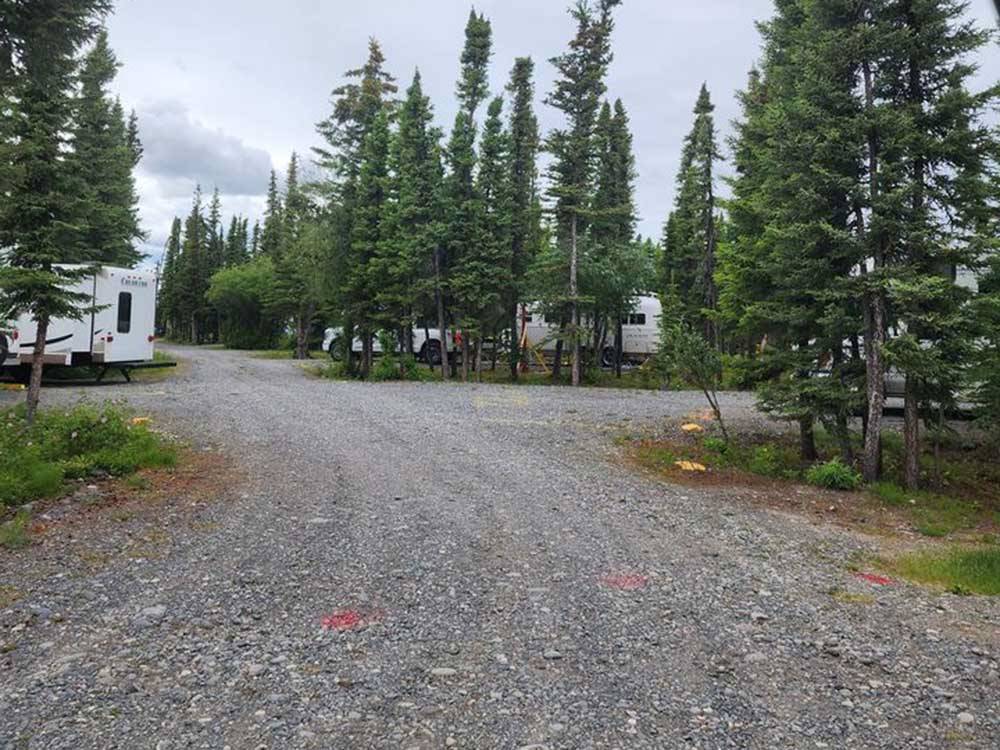 A rounded gravel road into the sites at NORTHERN NIGHTS CAMPGROUND