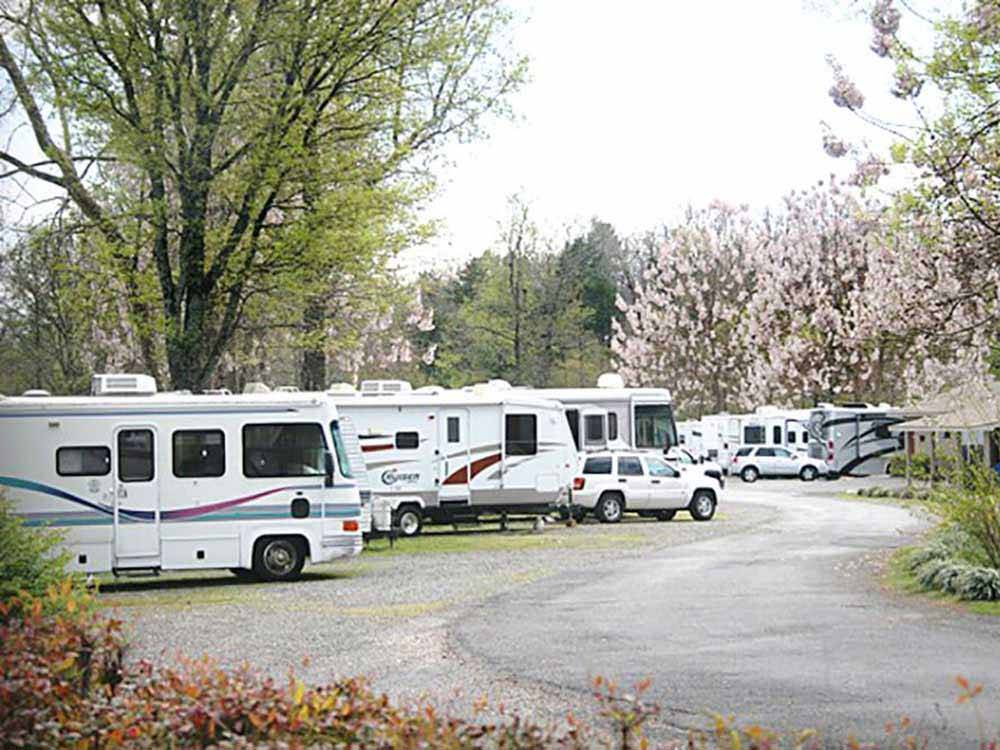 RVs parked at campground at J & J RV PARK