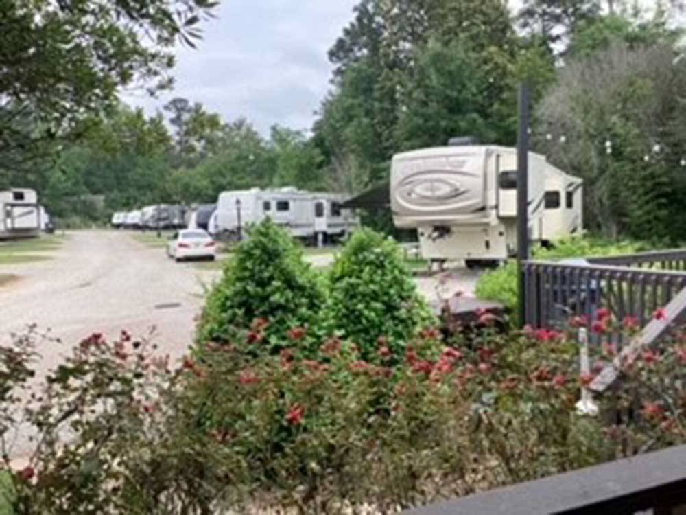 A row of trailers parked in sites at EAGLE'S LANDING RV PARK
