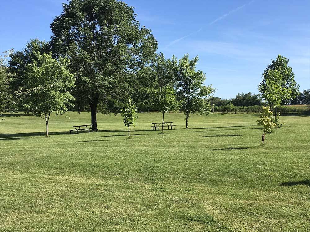 Large grass area with picnic tables at SINGING HILLS RV PARK