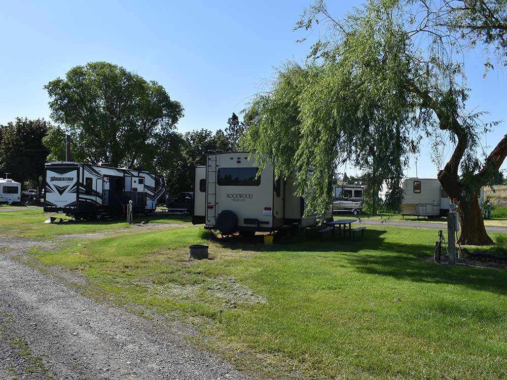 RVs parked onsite near trees at COUNTRY LANE CAMPGROUND & RV PARK