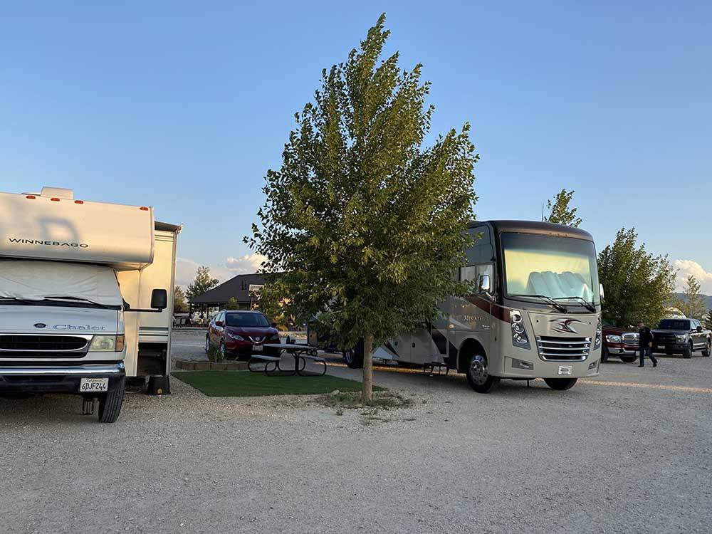 A couple of motorhomes in pull thru sites at RIVER'S EDGE RV RESORT