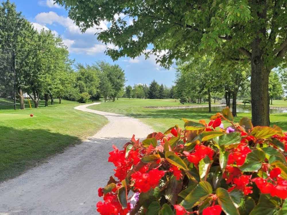 A gravel path next to the golf course at WILDWOOD GOLF & RV RESORT