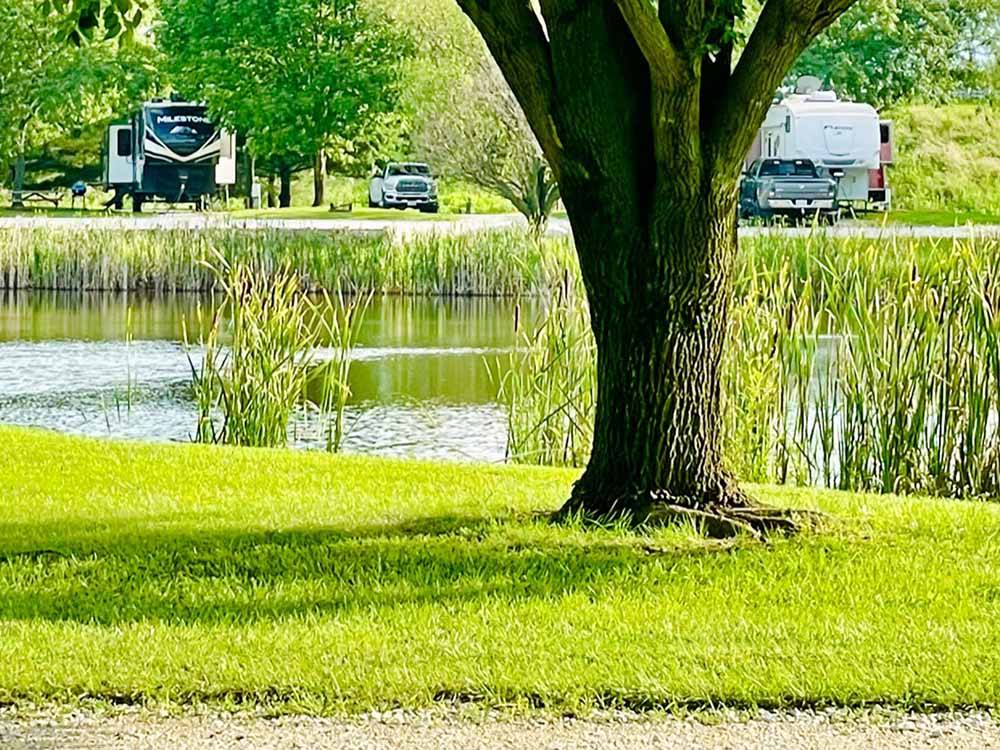 Tree and lake with campers in campsites at NEW VISION RV PARK