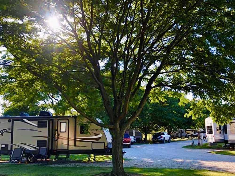 Camper in campsite with tree at NEW VISION RV PARK