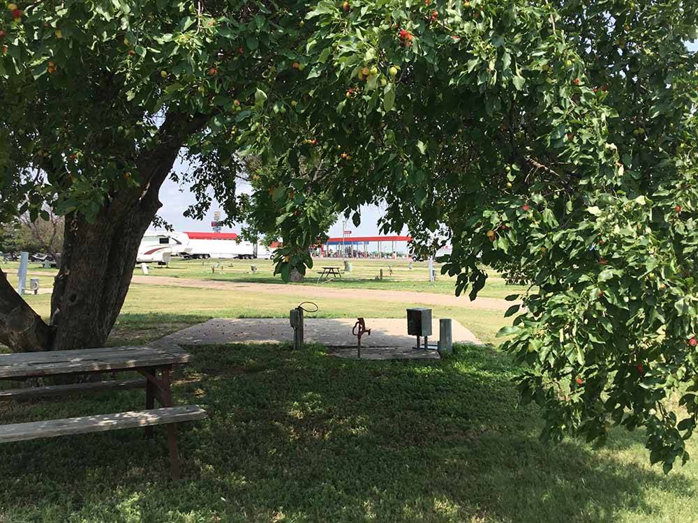 A site under an apple tree at MID AMERICA CAMP INN