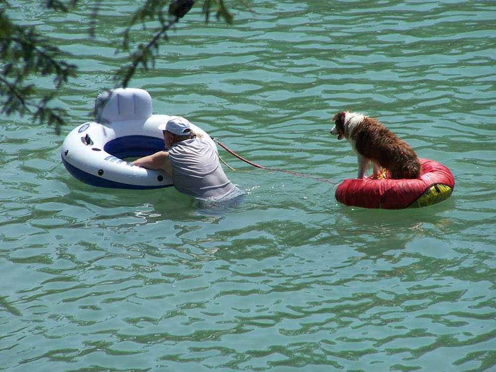 Dog in the lake on a inner tube with man at PARKVIEW RIVERSIDE RV PARK