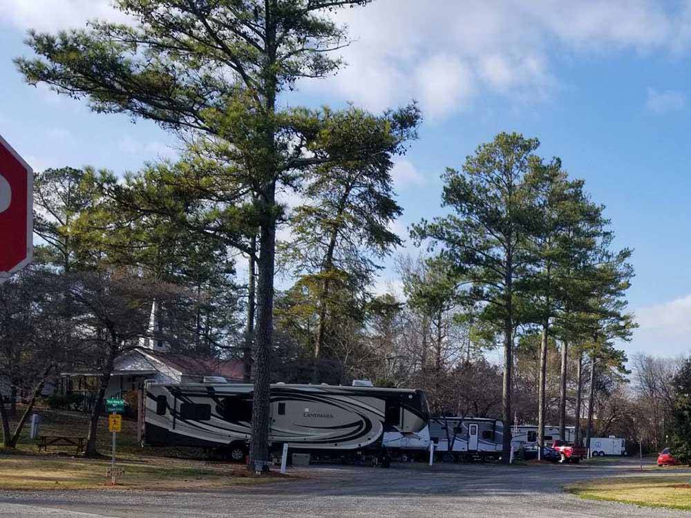 A row of RV sites under trees at HARVEST MOON RV PARK