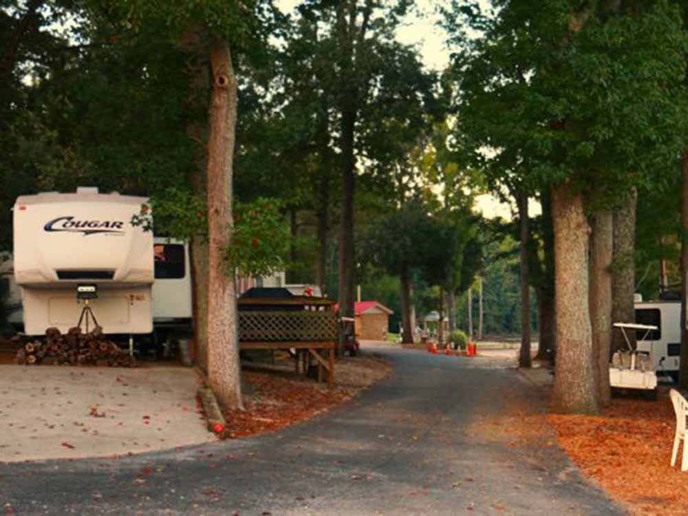 RV sites under trees at BIRDSONG RESORT & MARINA LAKESIDE RV & TENT CAMPGROUND