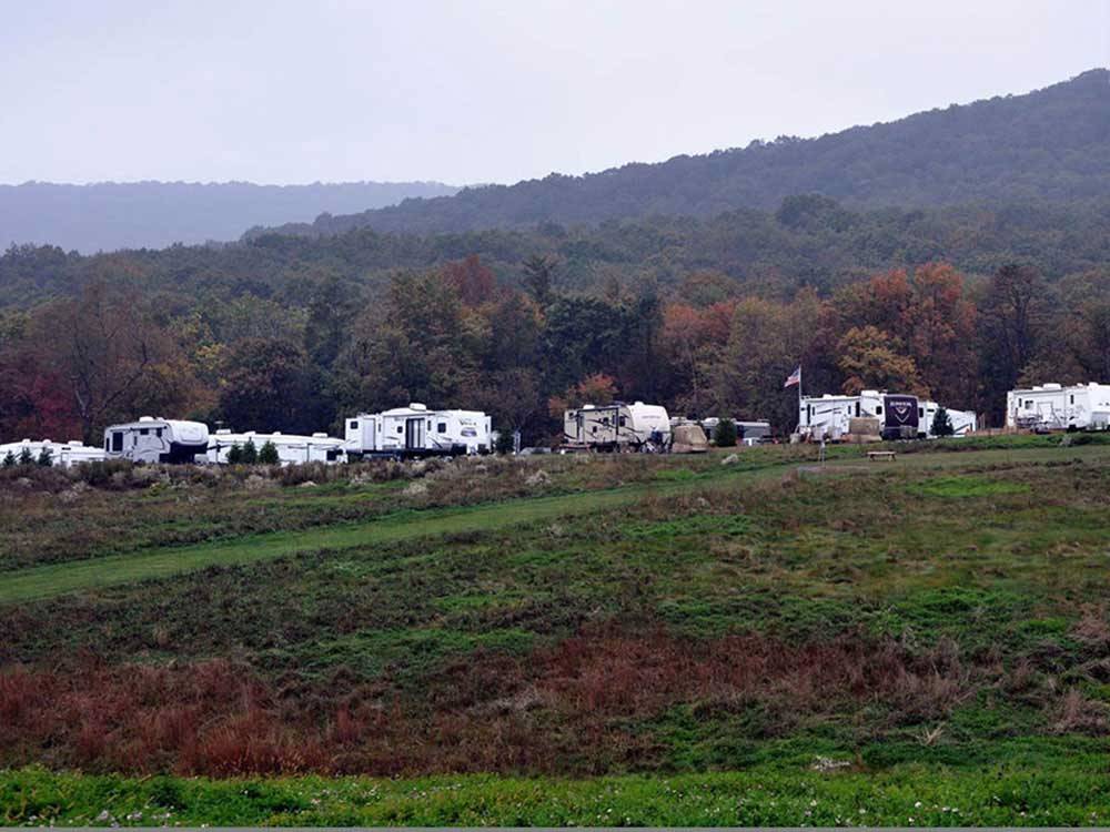RVs surrounded by tall trees and green grass at TWIN GROVE RV RESORT & COTTAGES