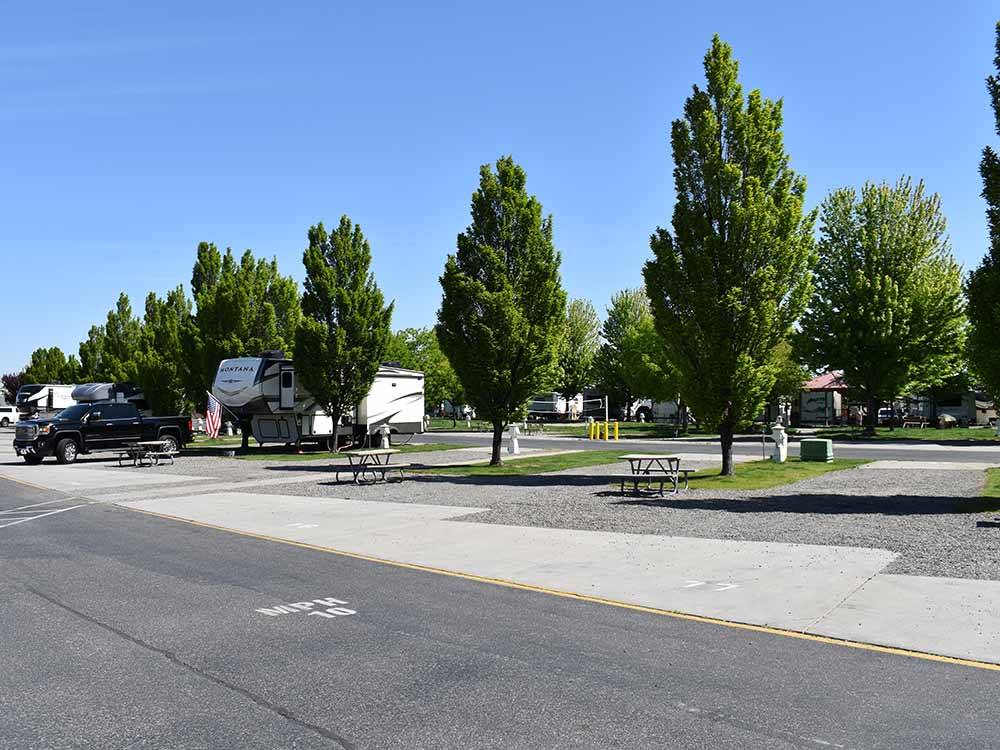 More RV sites with trees at HORN RAPIDS RV RESORT