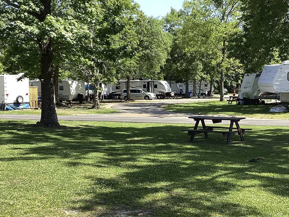 A picnic table in a grassy area at INDIAN POINT RV RESORT