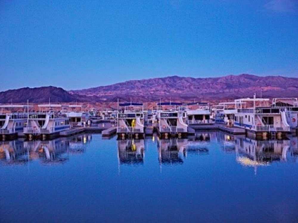 Houseboats docked on the blue water at COTTONWOOD COVE NEVADA RV PARK & MARINA