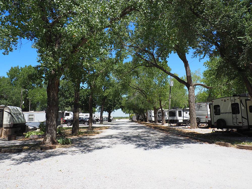 RVs parked in neat rows under trees at DEER GROVE RV PARK