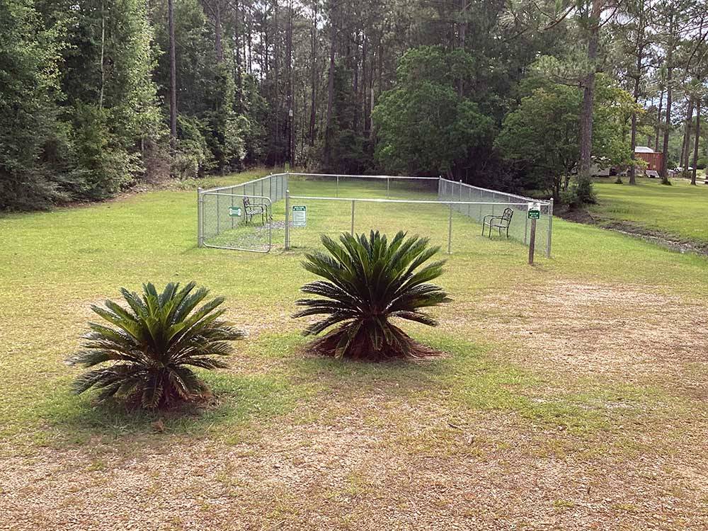 The fenced in pet area at SUN ROAMERS RV RESORT