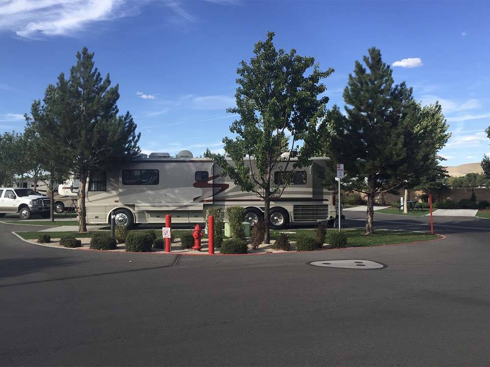 A motorhome in a campside surrounded by trees at SPARKS MARINA RV PARK