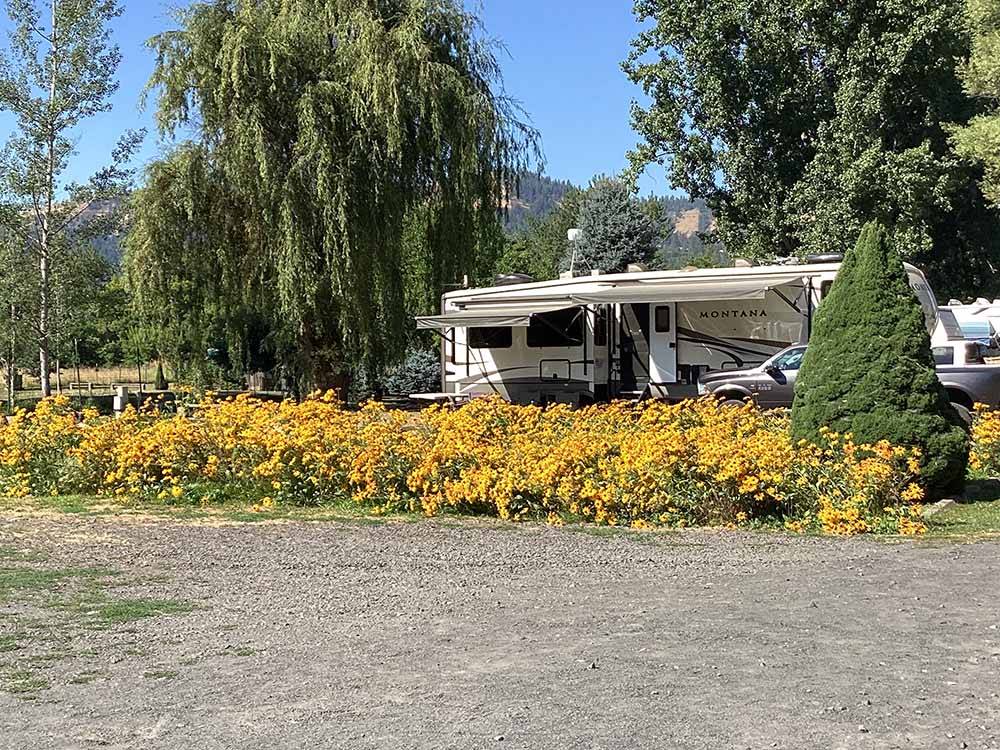 A trailer parked next to a bush with yellow flowers at LONG CAMP RV PARK
