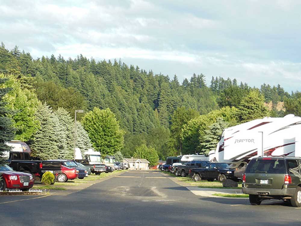 Trees surrounding park at SANDY RIVERFRONT RV RESORT