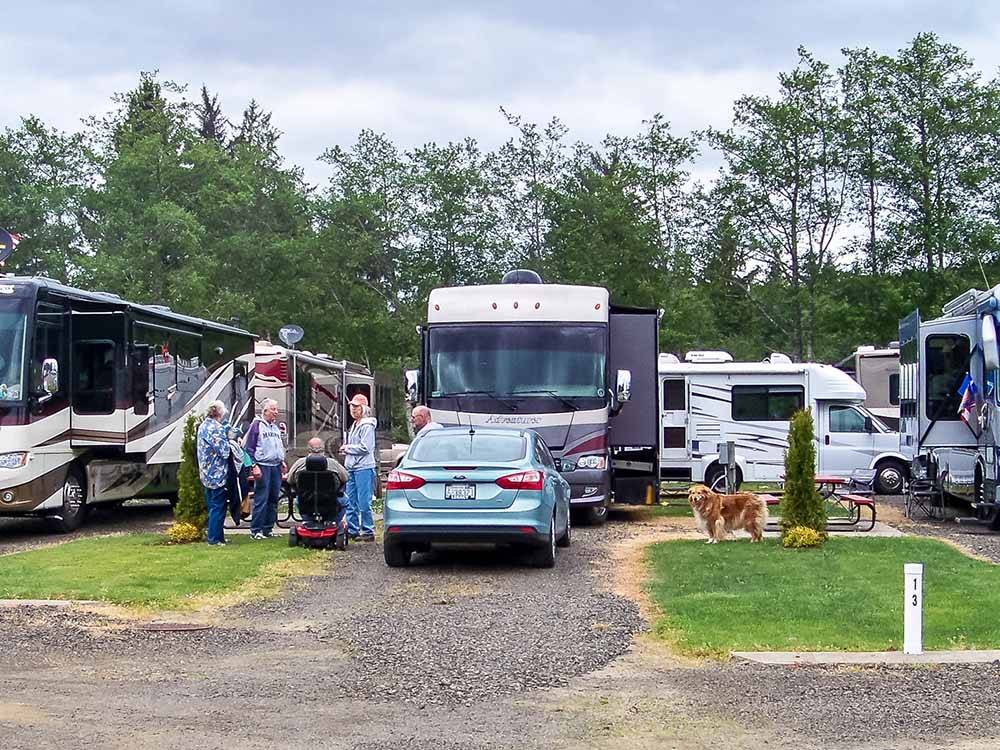 A group of gravel RV sites at HOQUIAM RIVER RV PARK