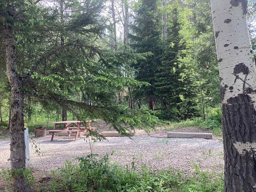 Campground seen through the trees at GLACIER MEADOW RV PARK
