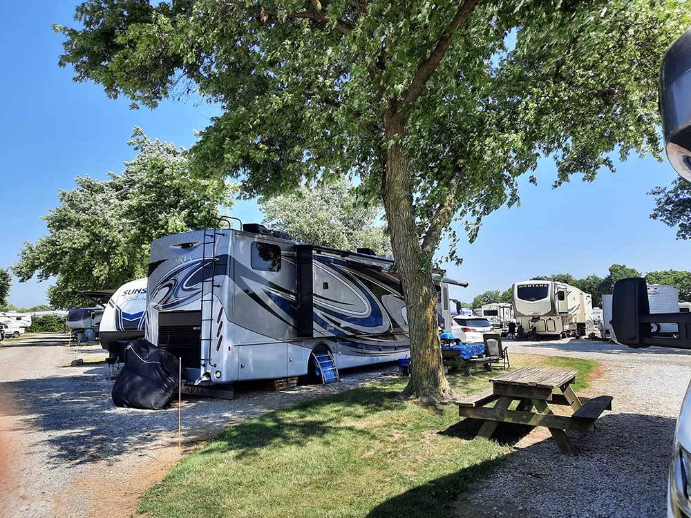 Shady campsite with motorhome at LAKE HAVEN RETREAT