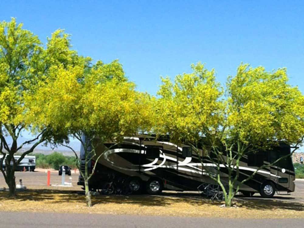 Flowered trees covering an RV at EAGLE VIEW RV RESORT ASAH GWEH OOU-O AT FORT MCDOWELL