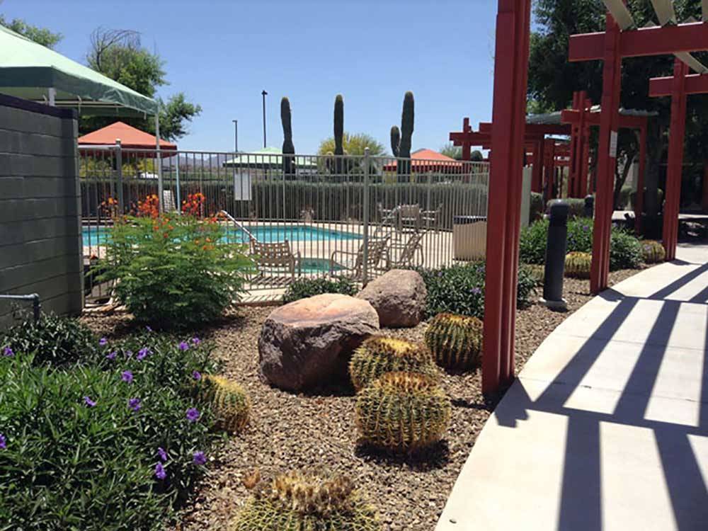 Landscaping around the pool at EAGLE VIEW RV RESORT ASAH GWEH OOU-O AT FORT MCDOWELL