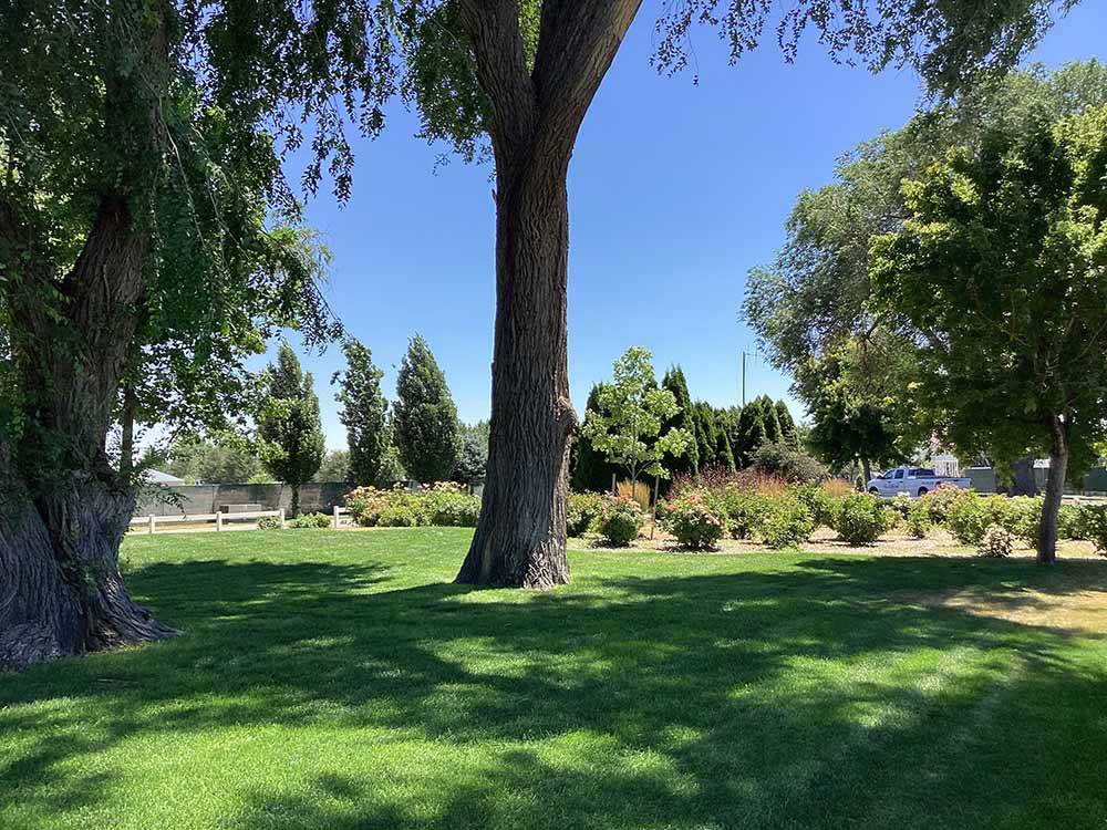 A shady, grassy area at MOUNTAIN HOME RV RESORT